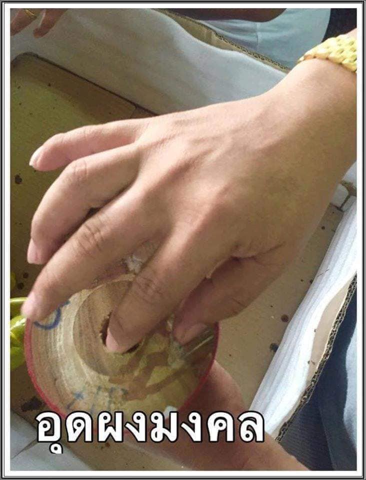 ไอ้ไข่ เด็กวัดเจดีย์ รุ่นที่ระลึกกฐิน ๕๙ องค์บูชาไม้แกะทาทองแท้ ขนาด 6 นิ้ว