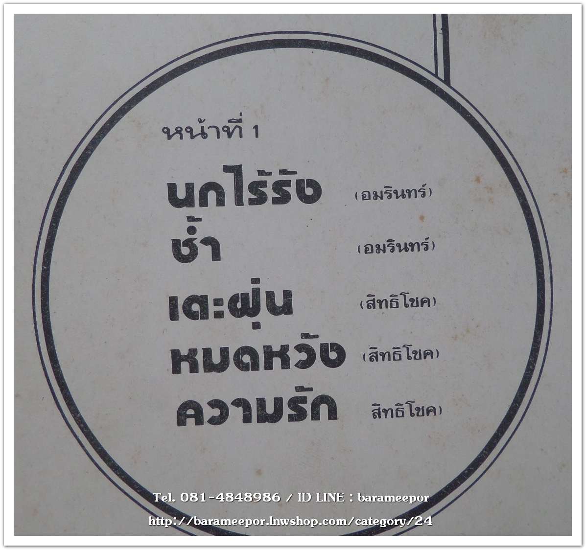 วงจั๊กจั่น ชุด นกไร้รัง