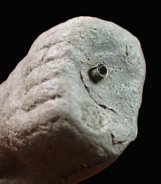 หลวงพ่อทวดเนื้อว่านดินกากยายักษ์ พิมพ์พระรอด ฝังตะกรุดเงิน (หลังตราแผ่นดิน) อาจารย์ทอง วัดสำเภาเชย ปี 2551 รุ่นพิทักษ์แผ่นดิน