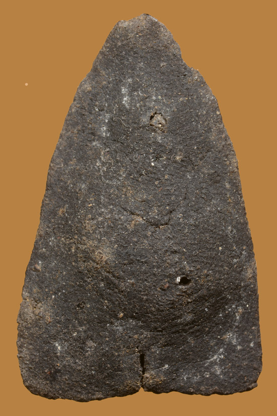 หลวงพ่อทวด พิมพ์ใหญ่ เนื้อว่าน พ่อท่านพล วัดนาประดู่ พ.ศ.2534