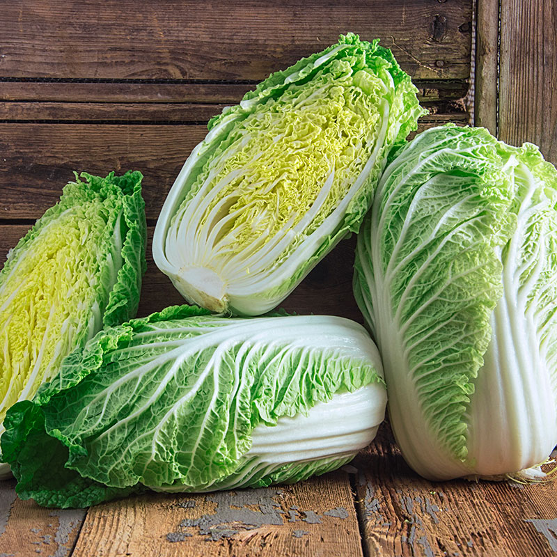 เมล็ดพันธุ์ ผักกาดขาว โอเอซิสไวท์ Oasis White Chinese Cabbage F1 Seed