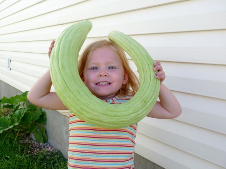 (Whole 1 oz) แตงกวายาว - Armenian Yard long Cucumber