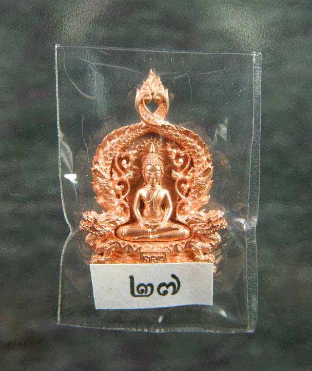 เหรียญฉลุหลวงพ่อโสธร รุ่นเจริญพร ปี 2555 ชุดพิมพ์เล็ก หลังเรียบ (ตอกโค๊ต ๙)