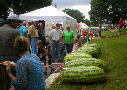 แตงโมยักษ์แคโรไลน่า - Carolina Giant Watermelon