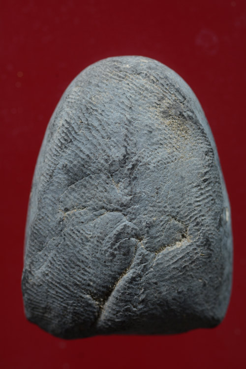 หลวงปู่ทวดหมาน เนื้อว่าน ปี 2507 วัดทรายขาว ปัตตานี อาจารย์ทิม วัดช้างให้ ปลุกเสก