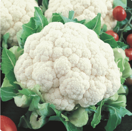 กะหล่ำดอก สโนว์บอล - Snow Ball Cauliflower