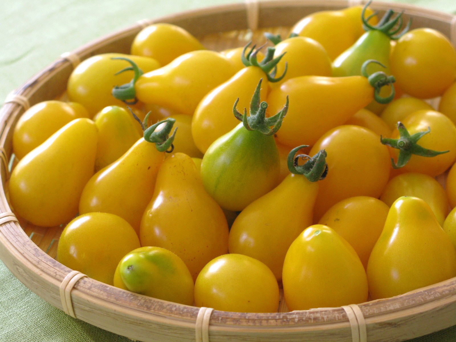 (Whole 1 Oz) มะเขือเทศลูกแพรสีเหลือง - Yellow Pear Tomato