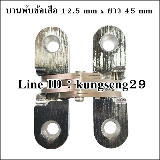 บานพับซ่อนผีเสื้อ 12.5 x ยาว 45 mm (มีสกรู)