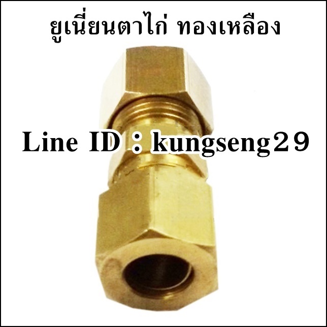 ยูเนี่ยนตาไก่ ทองเหลือง