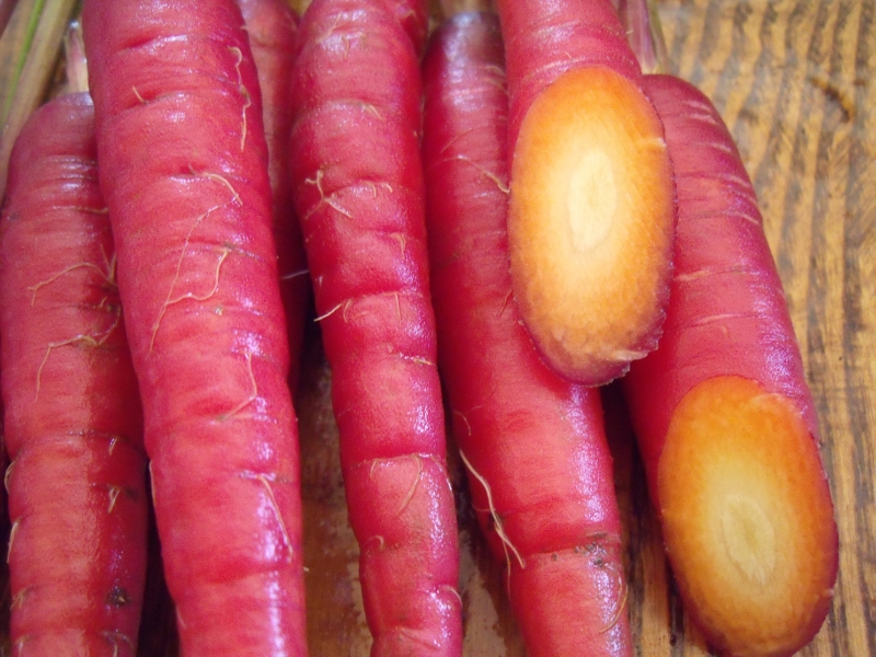 แครอทสีม่วง - Cosmic Purple Carrot