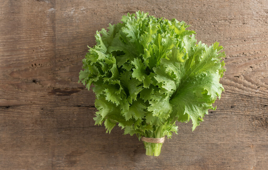วาซาบิ มัสตาร์ด - Mustard Wasabi