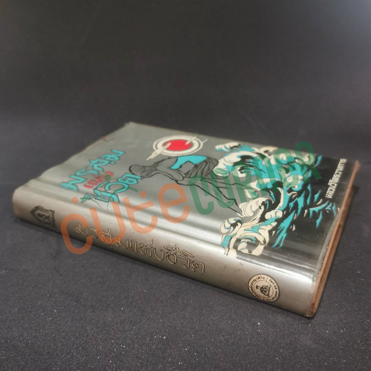 มรสุมแห่งชีวิต