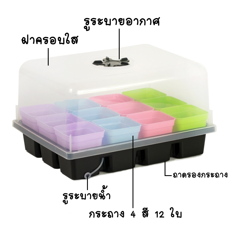 ชุดกล่องเพาะต้นกล้า 12 กระถาง พร้อมฝาครอบ กันนก กันแมลง