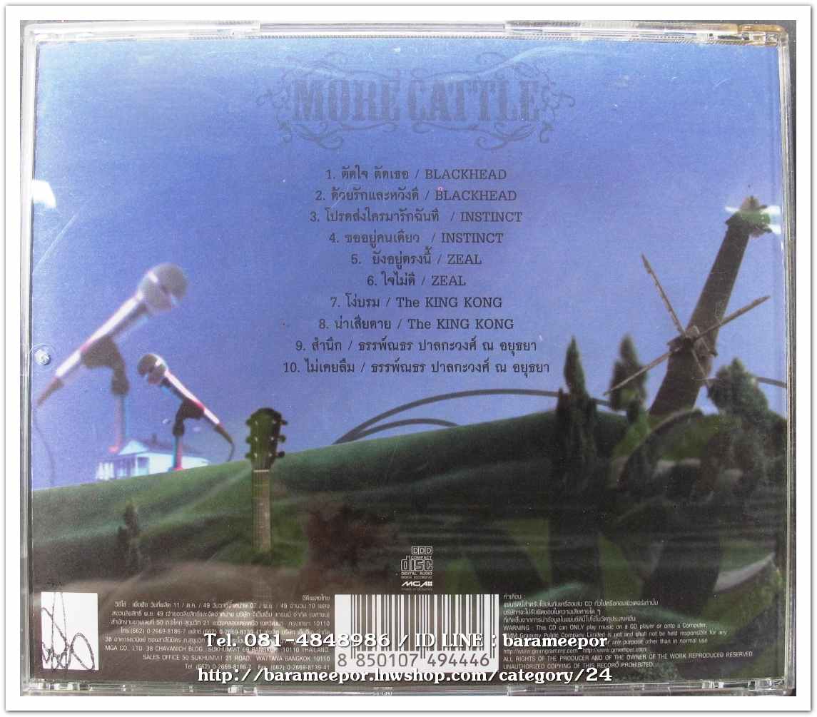 MORE CATTLE สภาพสวย