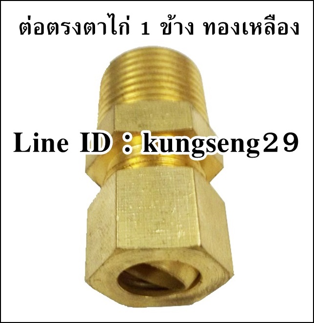 ต่อตรงเกลียวตาไก่ ทองเหลือง