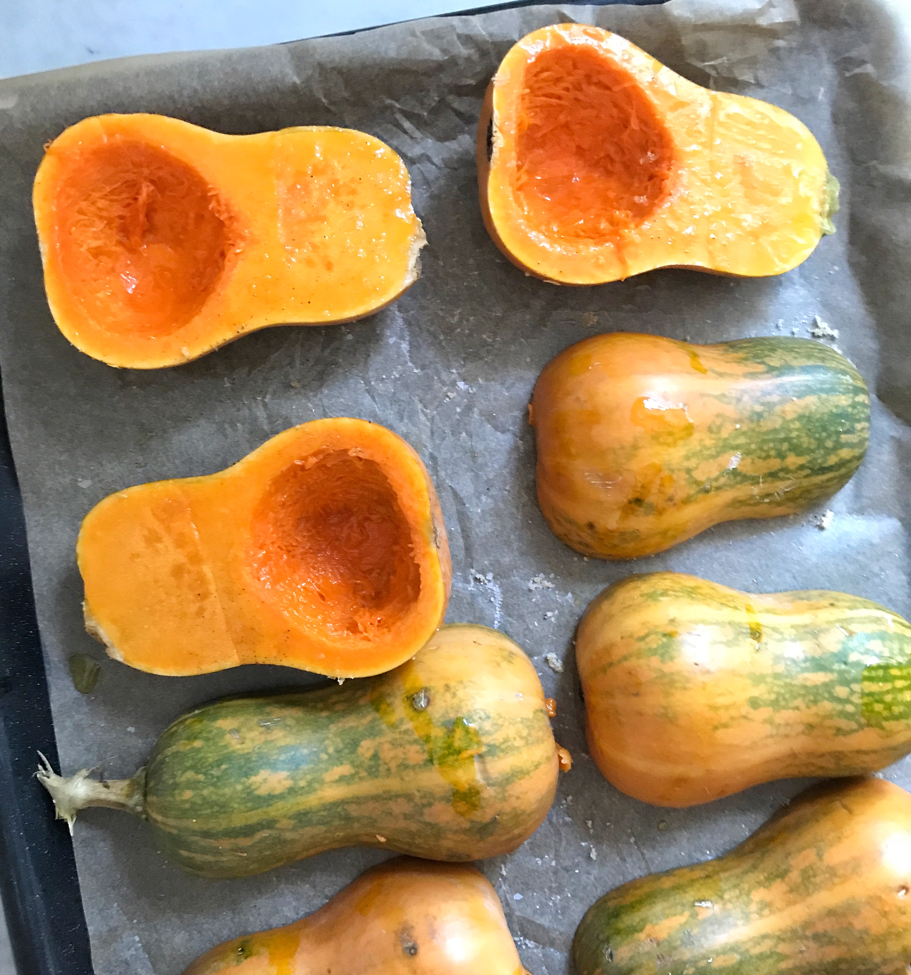 ฮันนี่นัท มินิบัตเตอร์นัท - Honeynut squash