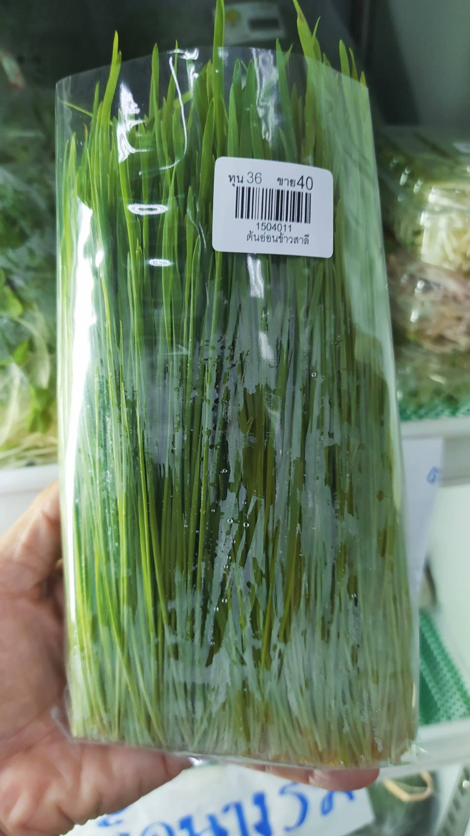 15-040-1100-0 ต้นอ่อนข้าวสาลี 100ก.สขจ.