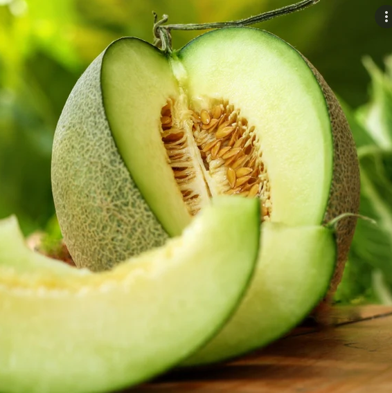 เมล่อน ร็อคกี้ฟอร์ด - Rocky Ford Green Flesh Melon
