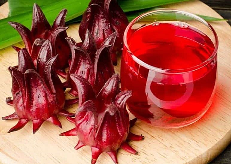 เมล็ดพันธุ์ กระเจี๊ยบ แดงซูดาน Sudan Red Roselle Seed