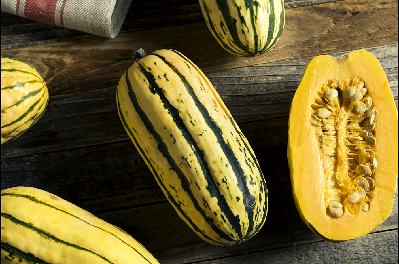 เมล็ดพันธุ์ ฟักทองเดลิคาต้า Delicata Squash Seed 20 เมล็ด