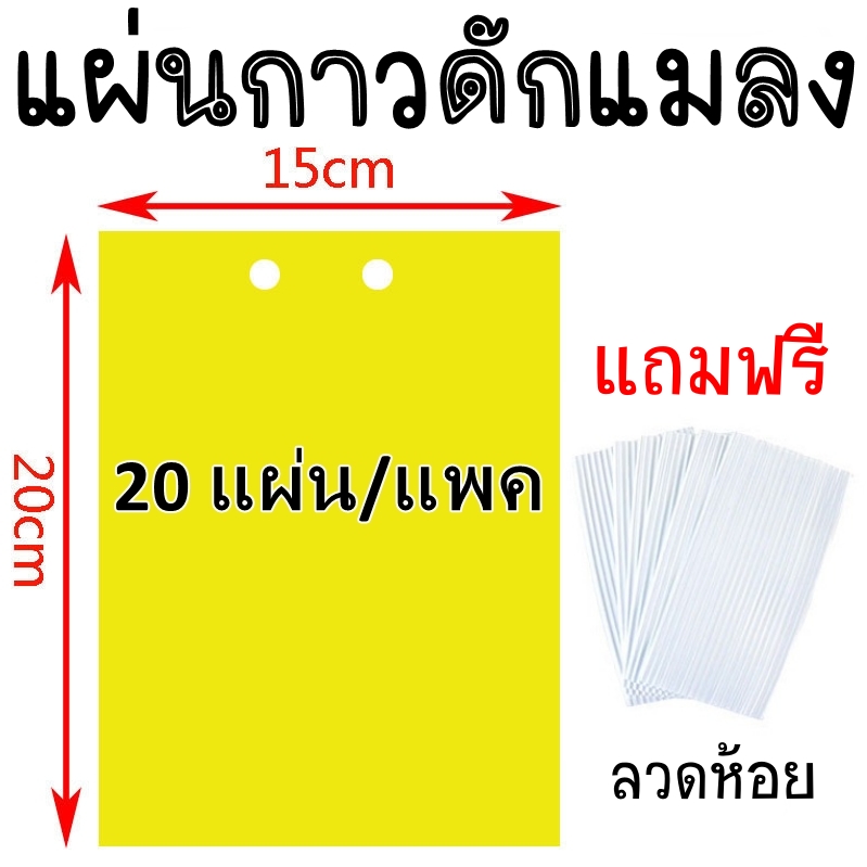 แผ่นกาวดักแมลง ขนาด 15x20 cm 100 แผ่น