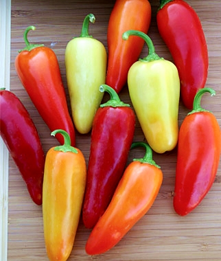 (Whole 1 Oz) พริกซานตาเฟ่ แกรนด์ - Santa Fe Grande Pepper