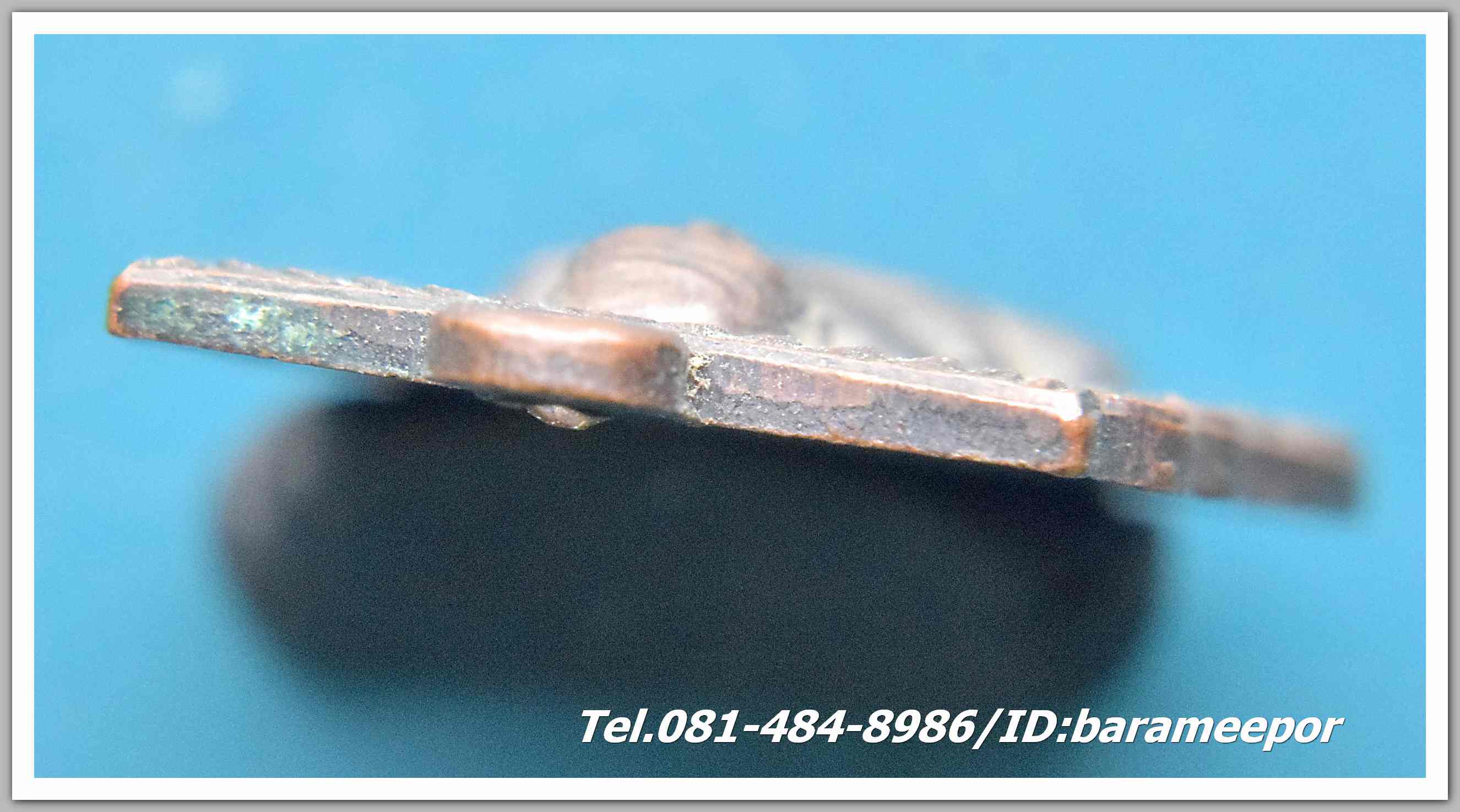 หลวงพ่อทวด วัดพังเถียะ อ.สทิ้งพระ จังหวัดสงขลา ปี 2505..5