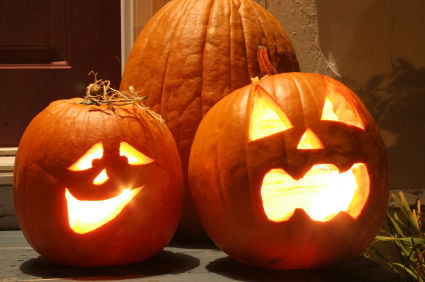 ฟักทองฮาโลวีน พันธุ์แจ๊ค - JACK O LANTERN PUMPKIN
