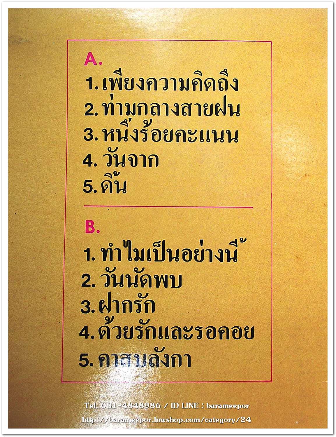 ชลธิชา สุวรรณรัต ชุด เพียงความคิดถึง แผ่นเต็ม..2