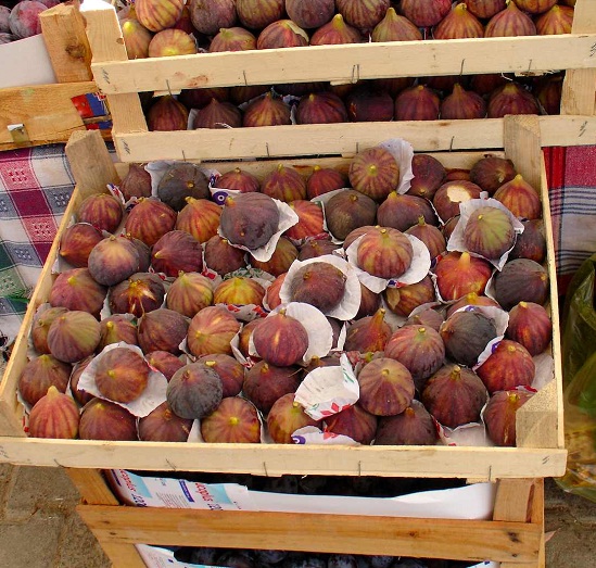 มะเดื่อฝรั่ง - Turkey Fig Fruit