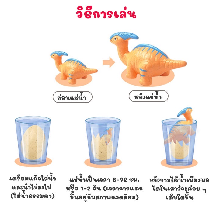DI003 ไข่ไดโนเสาร์เเช่น้ำ DINOSAUR EGG ฟักไข่ ไข่เซอร์ไพรส์ ของเล่น ไข่เซอร์ไพร์สไดโนเสาร์ ไข่ไดโนเสาร์