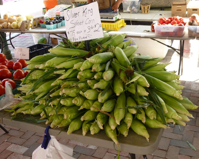 ข้าวโพดหวานขาว ซิลเวอร์คิงส์ - Silver King Corn F1