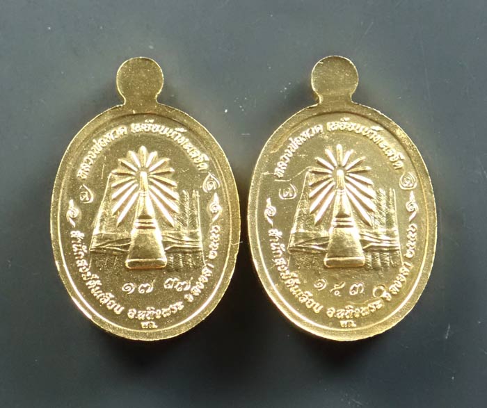 * 2 เหรียญ* เหรียญเม็ดแตง (ฟักทอง) หลวงพ่อทวด ปาฏิหาริย์ สำนักสงฆ์ต้นเลียบ ปี2556 เนื้อชุบทองโบราณ (แยกจากชุดทองคำ)