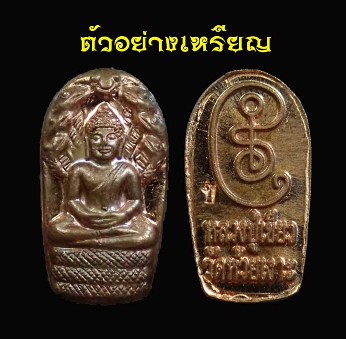 * 10 เหรียญ* เหรียญพระนาคปรกใบมะขาม รุ่นประทานพร พ่อท่านเขียว วัดห้วยเงาะ ปัตตานี ปี 2558