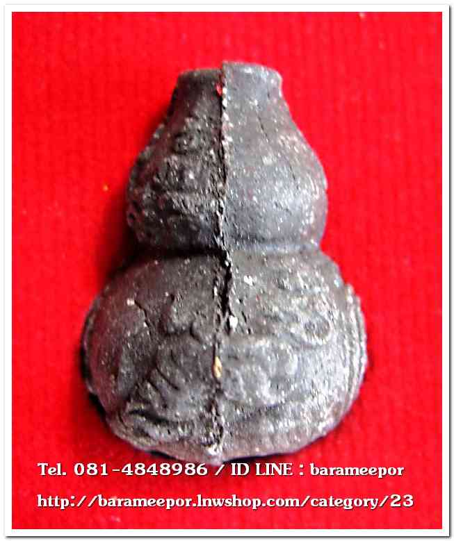 น้ำเต้าไอ้ไข่เรียกทรัพย์ เนื้อว่านกากยายักษ์ (พิมพ์ใหญ่) เลข 278