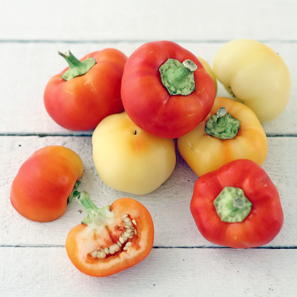 พริกอัลม่า ปาปริก้า - Alma Prapika Pepper