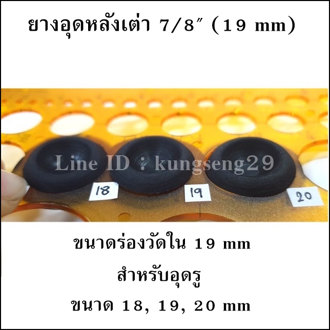 ยางอุดรูหลังเต่า 7/8" (19 mm)