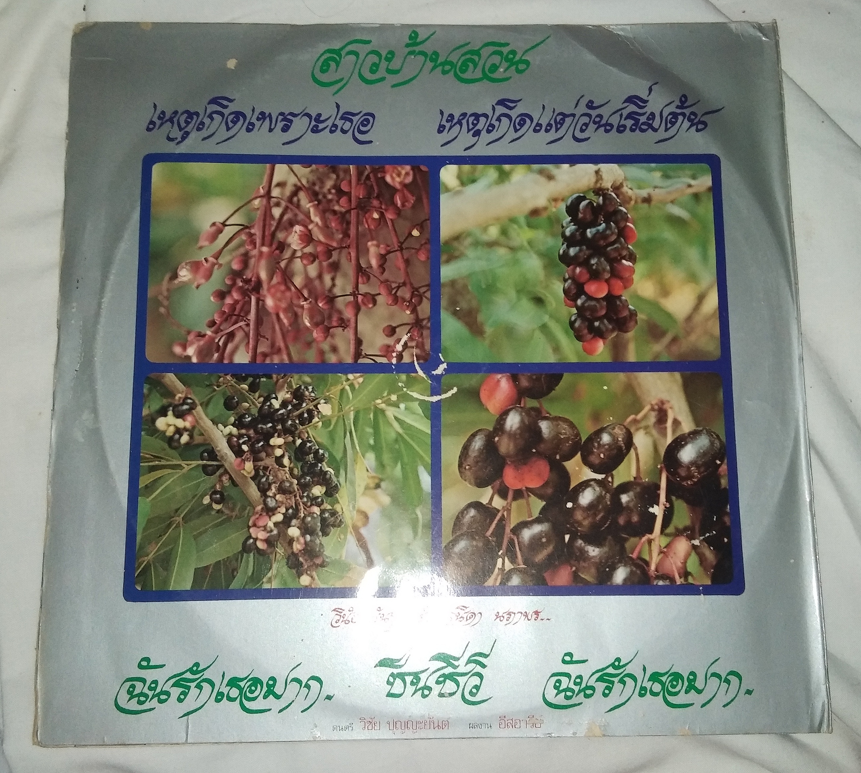 วินัย พันธุรักษ์ วนิดา นภาพร ชุด ชำมะเลียงเคียงใคร ผลงานเพลง อีสอารีย์ ดนตรี วิชัย ปุญญะยันต์