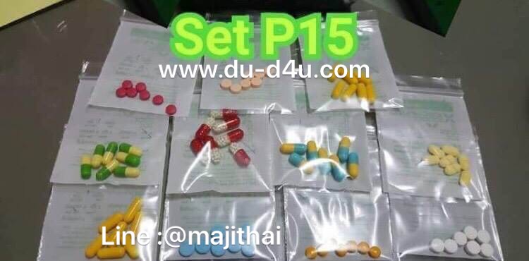 ระดับ1 Set P15 (ระดับเริ่มต้น)