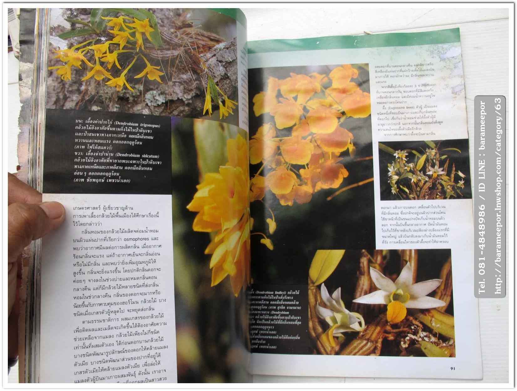 A35 หนังสือรถ NISSAN MAGAZINE