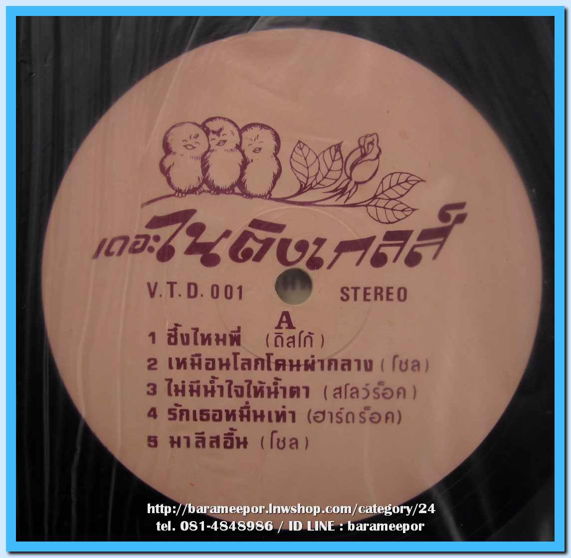 คณะเดอะไนติงเกลล์ โดย 2 สาว กิ่งกาญจน์ กาญจนาและมนทิรา ตู้หิรัญ