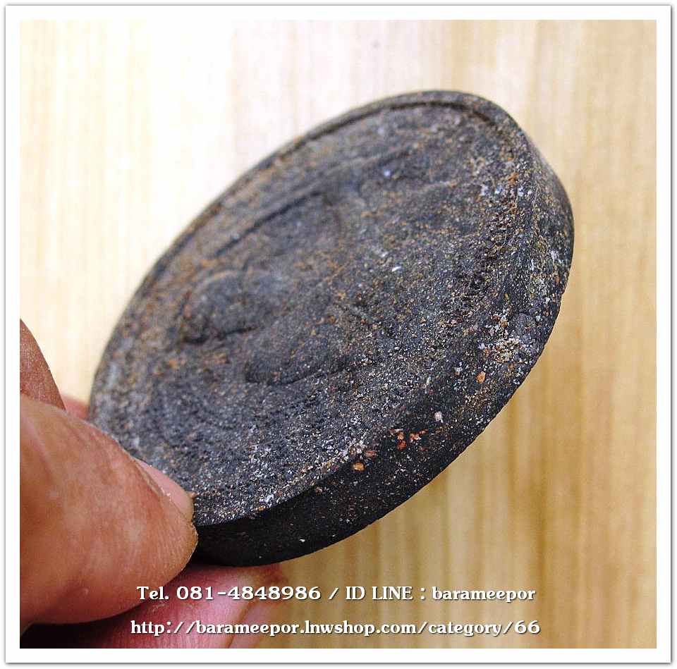 ว่านกลม ขุนพันธ์ มือปราบสิบทิศ เนื้อว่านดำ ขนาด 5 ซม. .2