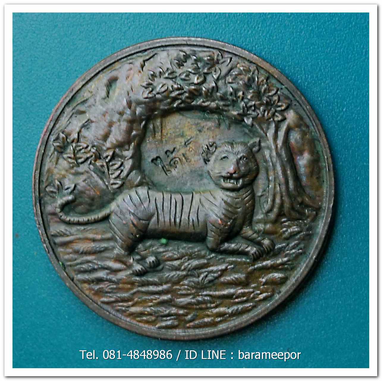 เหรียญพญาเสือนอนกิน รุ่นแรก ปี 2548 พระอาจารย์ประสูติ วัดในเตา จ.ตรัง..2