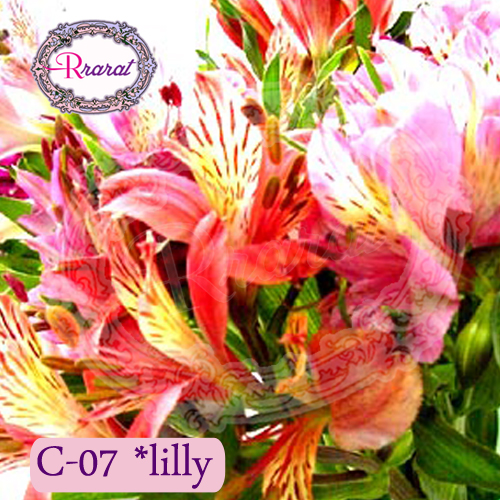 กำยานหอม กลิ่น ลิลลี่ ( Lilly ).. 500g.