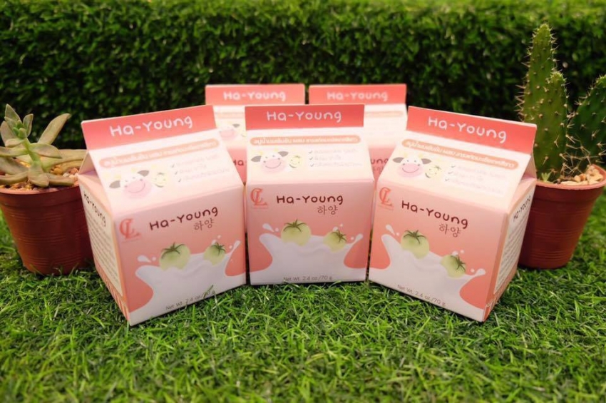 Ha-young Soap 70 g. สบู่ฮายัง สบู่มะเขือเทศสีขาว ผสมนมสด ผิวขาวกระจ่างใส ดุจดั่งอาบน้ำนม