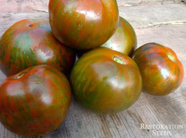 มะเขือเทศม้าลายดำ - Black Zebra Tomato