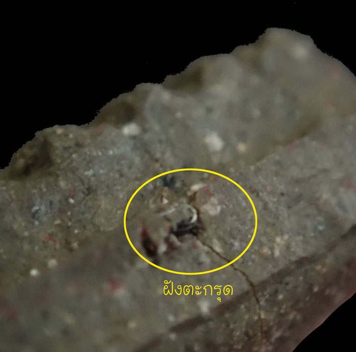 หลวงพ่อทวดเนื้อว่านฝังตะกรุด พ่อท่านเขียว วัดห้วยเงาะ ปัตตานี ปี 2553 รุ่นเสาร์5 มหาสิทธิโชค พิมพ์ใหญ่ (กรรมการ) หมายเลข 739 ขนาดพระสูง 3.5 ซ.ม. พร้อมกล่องเดิม