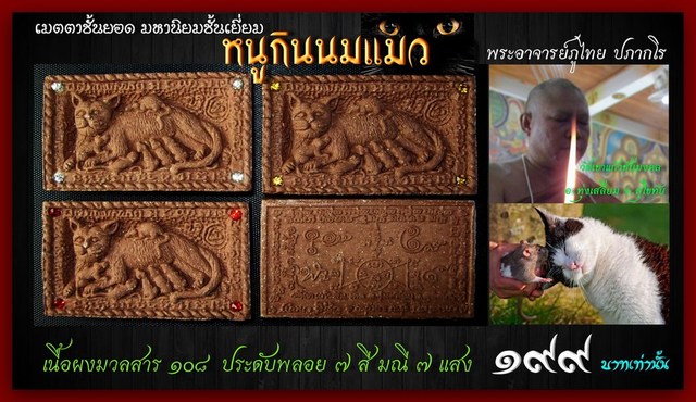หนูกินนมแมว พระอาจารย์ภูไทย วัดเขาแก้วชัยมงคล สุโขทัย