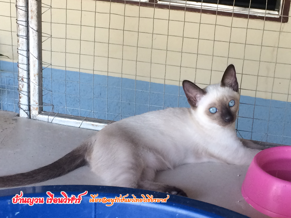 เจ้าจันทร์