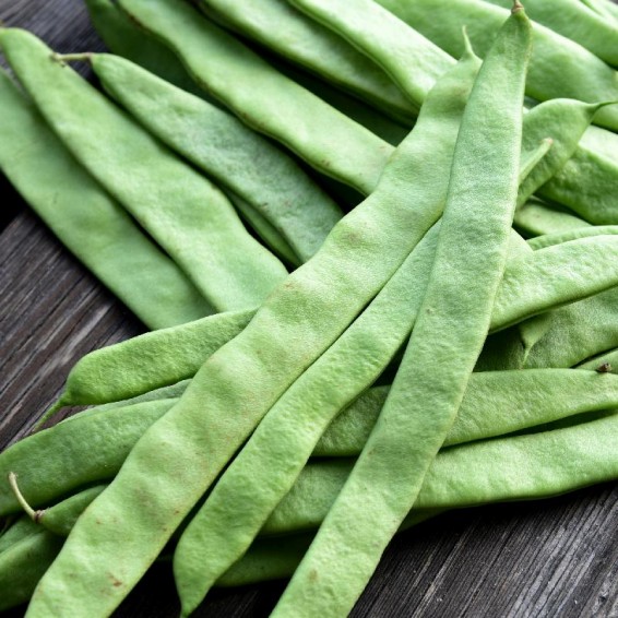 เมล็ดพันธุ์ ถั่วแขกเขียวผลแบน Qing Bain Pole Bean Seed 10 เมล็ด